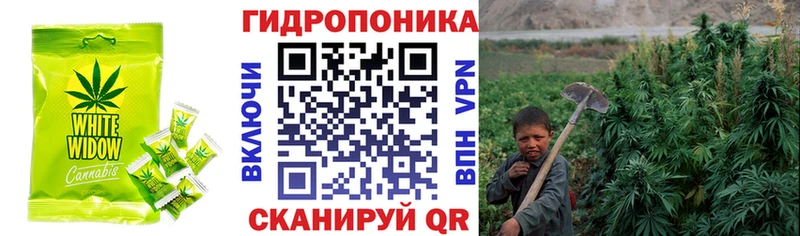 Печенье с ТГК конопля Минусинск