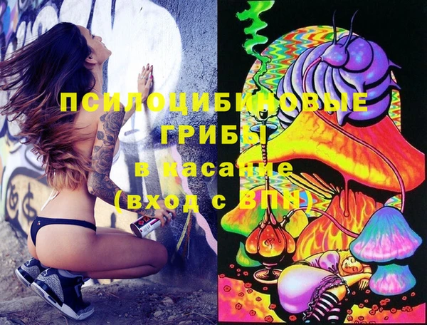 мескалин Новозыбков