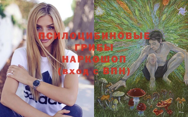 соль курить ск Новодвинск